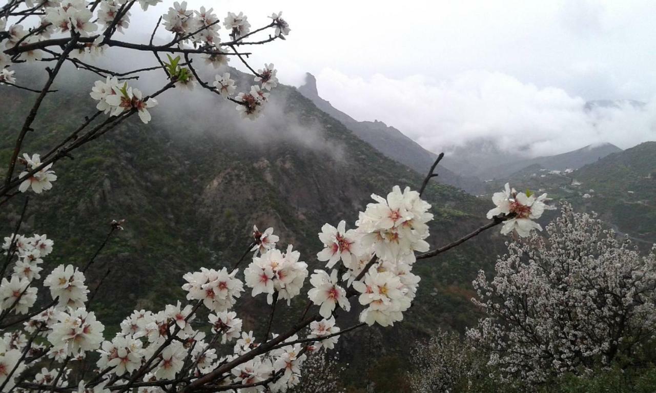 El Fraile Villa เตเฮดา ภายนอก รูปภาพ